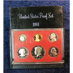1138. 1981 S U.S. Proof Set. Original as issued.