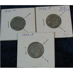 1341. 1920 P & (2) 36 P Buffalo Nickels.