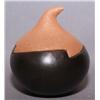 Image 1 : POJOAQUE LIDDED JAR