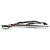 Image 1 : US MODEL 1860 FIELD & STAFF OFFICERS SWORD