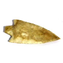 FLORIDA NEWNAN ARROWHEAD SUPERB 3.25 INCHES
