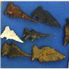 Image 3 : FLORIDA ARROWHEAD LOT PALEO BOLEN TALLAHASSEE