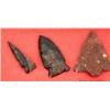 Image 2 : FRAME OF 14 PALEO & ARCHAIC FLORIDA ARROWHEADS