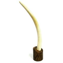 LARGE 20 INCH IVORY ELEPHANT TUSK MOUNTED ON WOOD