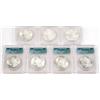 Image 3 : MORGAN DOLLAR UNC LOT OF 9 DIFFERENT CERTIFIED