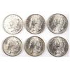 Image 2 : 10 1883 & 1884 MINT STATE MORGAN DOLLAR COIN LOT
