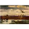 Image 3 : GROUPING OF 4 FRAMED WATERFOWL PICTURES