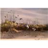 Image 4 : GROUPING OF 4 FRAMED WATERFOWL PICTURES