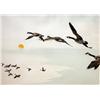 Image 5 : GROUPING OF 4 FRAMED WATERFOWL PICTURES