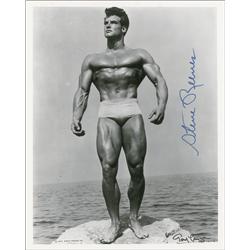 Steve Reeves
