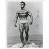 Image 1 : Steve Reeves