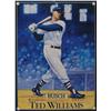 Image 1 : Ted Williams