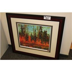 FRAMED LIMITED EDITION PRINT
