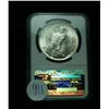 Image 2 : NGC 1922-p Peace Dollar Graded Choice Uncirculated ms64  NGC