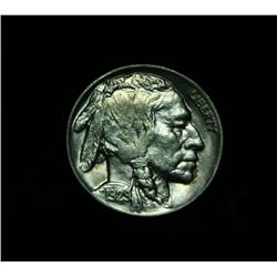 1929-p Buffalo Nickel 5c Grades Select Uncirculated ms63