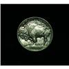 Image 2 : 1913-d TY I Buffalo Nickel 5c Grades Choice Uncirculated ms64