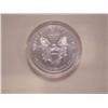Image 2 : Colorized US .999 Fine Silver Eagle