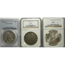 Lot of 3 slabbed Morgan $ 1894O NGC25-1897O PCGS45-1897S NGC62