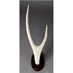 A Fine Chinese Carved Antler Horn