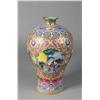 Image 1 : Chinese Porcelain Enameled Meiping Vase