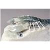 Image 3 : Fine Chinese Agate Carving of a Crawfish