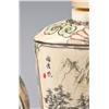Image 2 : (2) Chinese Polychromed Snuff Bottles