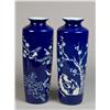 Image 1 : Pr. Chinese Cobalt & Bisque Decorated Vases