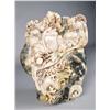 Image 1 : A Very Fine Chinese Carved Soapstone Boulder