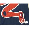 Image 4 : Northwest Coast Button Blanket