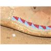 Image 3 : Apache Moccasins