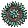 Image 1 : Zuni Pin