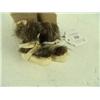 Image 6 : Eskimo Doll