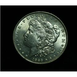 1889-p Morgan Dollar Grades Choice Uncirculated ms64