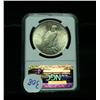 Image 2 : NGC 1924-p Peace Dollar Graded Choice Uncirculated ms64  NGC