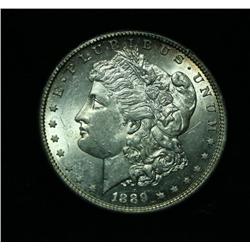 1889-s Morgan Dollar Grades Select Uncirculated ms63