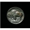 Image 2 : 1919-p Buffalo Nickel 5c Grades au58