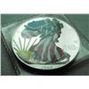 Image 1 : 1999 Silver Eagle Colorized