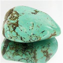 34.7ct Green Turquoise Freeform Cabochon (GEM-33779)