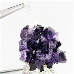 52.48ctw Uruguay Amethest & Silver Pendant (JEW-3033)