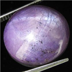 30.15ct Natural Star Ruby Well Patterned  (GEM-32161)