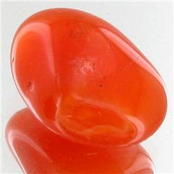 19.75ct Carnelian Freeform Cabochon (GEM-34115)