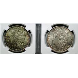 1898 & 1889  morgan dollars NGC 63