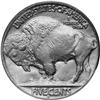 Image 3 : Nickels 1920-D PCGS MS64