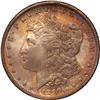 Image 2 : Morgan Dollars 1890-O PCGS MS65