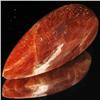 50.25ct Vibrant Sunstone Cabochon (GEM-32020)