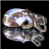 93.72ct Australian Boulder Opal Handcarved Goldfish (GEM-31850)