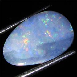 3.2ct Australian Black Opal Doublet Full Fire (GEM-36028)