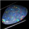 2.35ct Australian Black Opal Doublet Full Fire (GEM-36238)