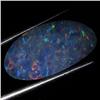 4.5ct Australian Black Opal Doublet Full Fire (GEM-36293)