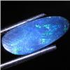 1.27ct Australian Black Opal Doublet Full Fire (GEM-31451)